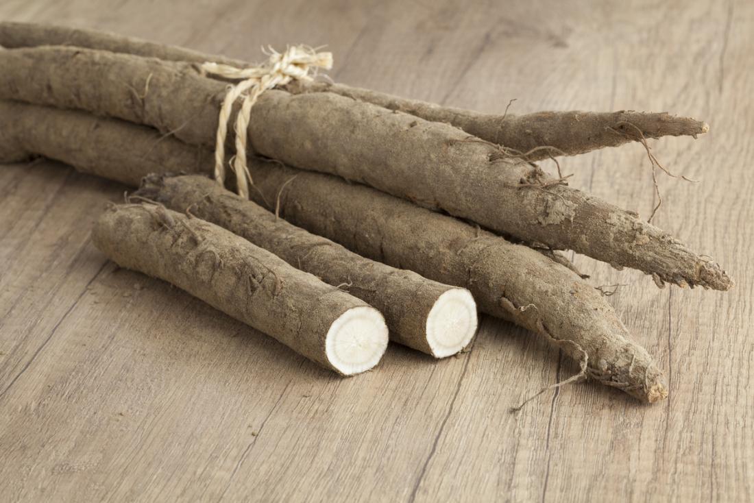 Burdock Plant Root