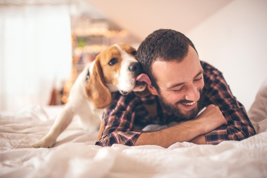 Love hormone' explains why your dog loves to see you smile