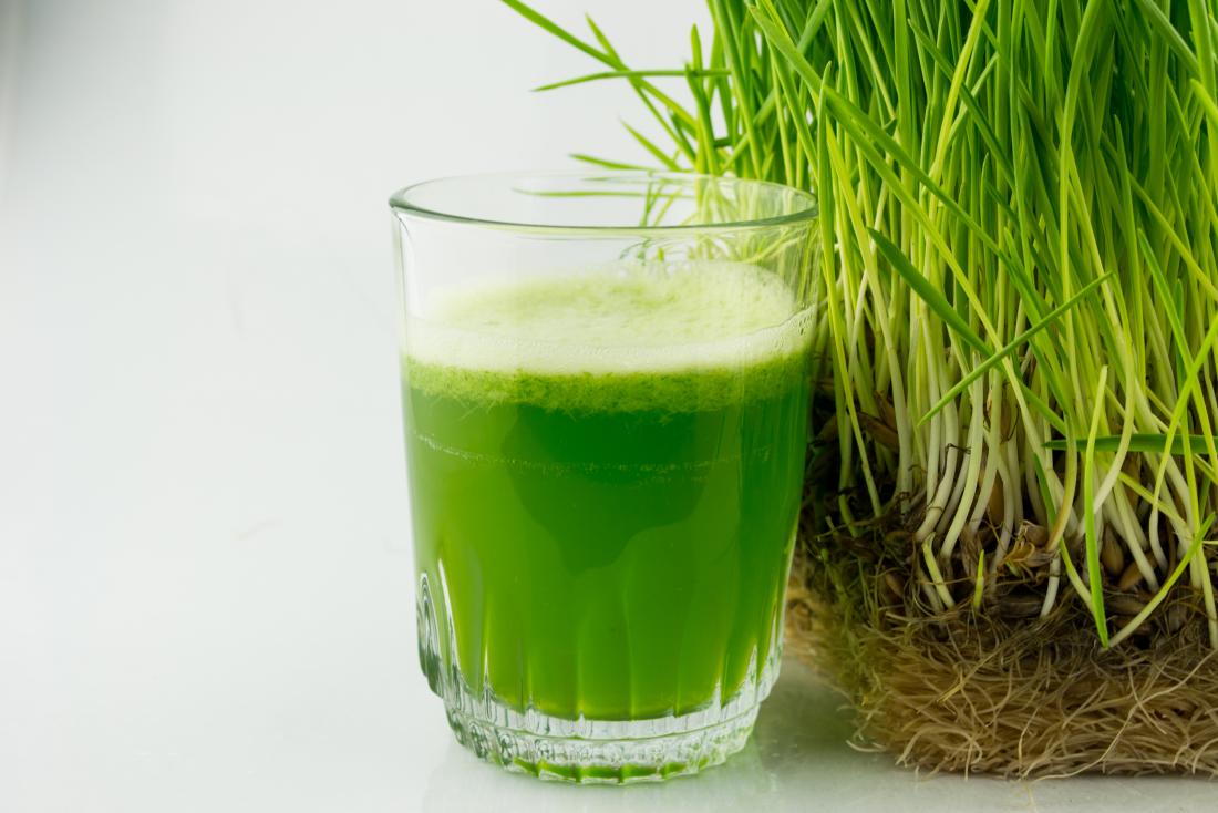 wheatgrass and wheatgrass drink