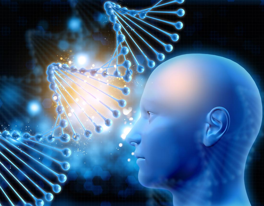 Gene to protein animation information