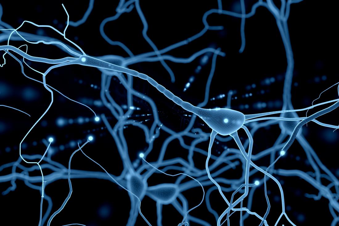 a) Biological Neurons connected by Synapses. Soma = neuron body