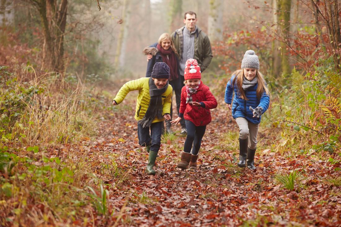 Family walking in the woods