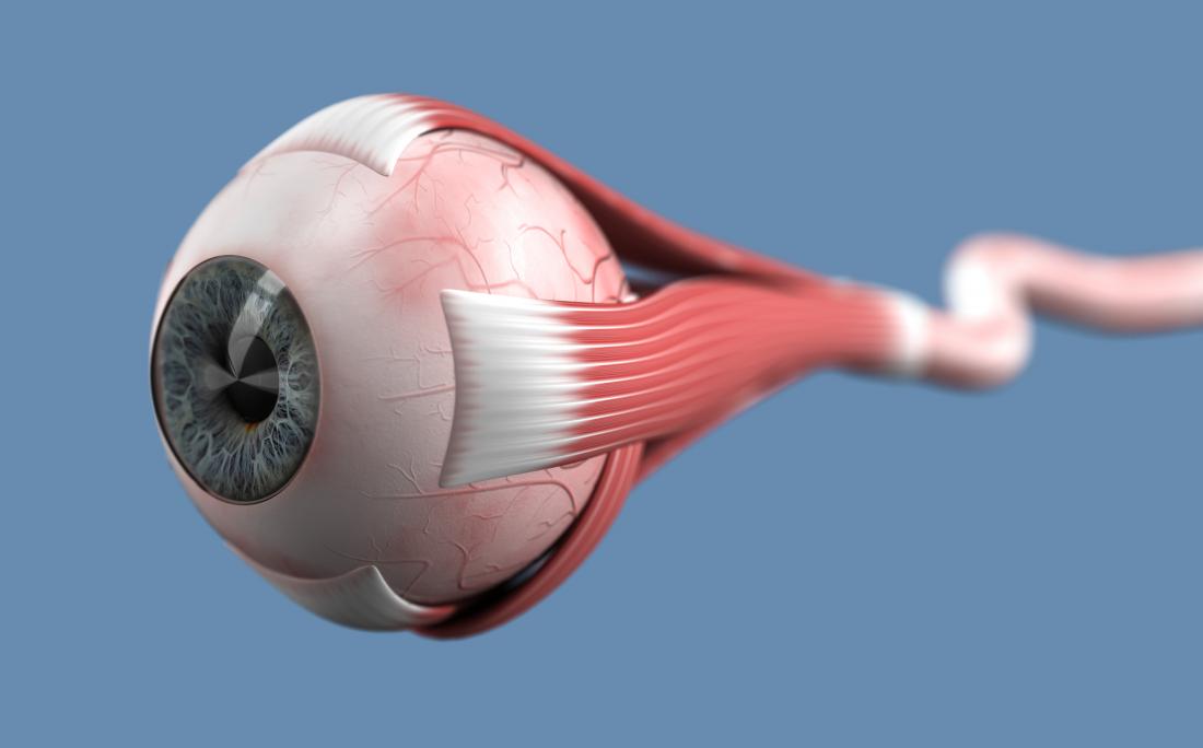 Optic Neuritis Symptoms Treatment And Causes