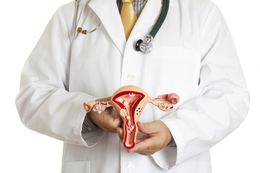 medic holding model of uterus and ovaries