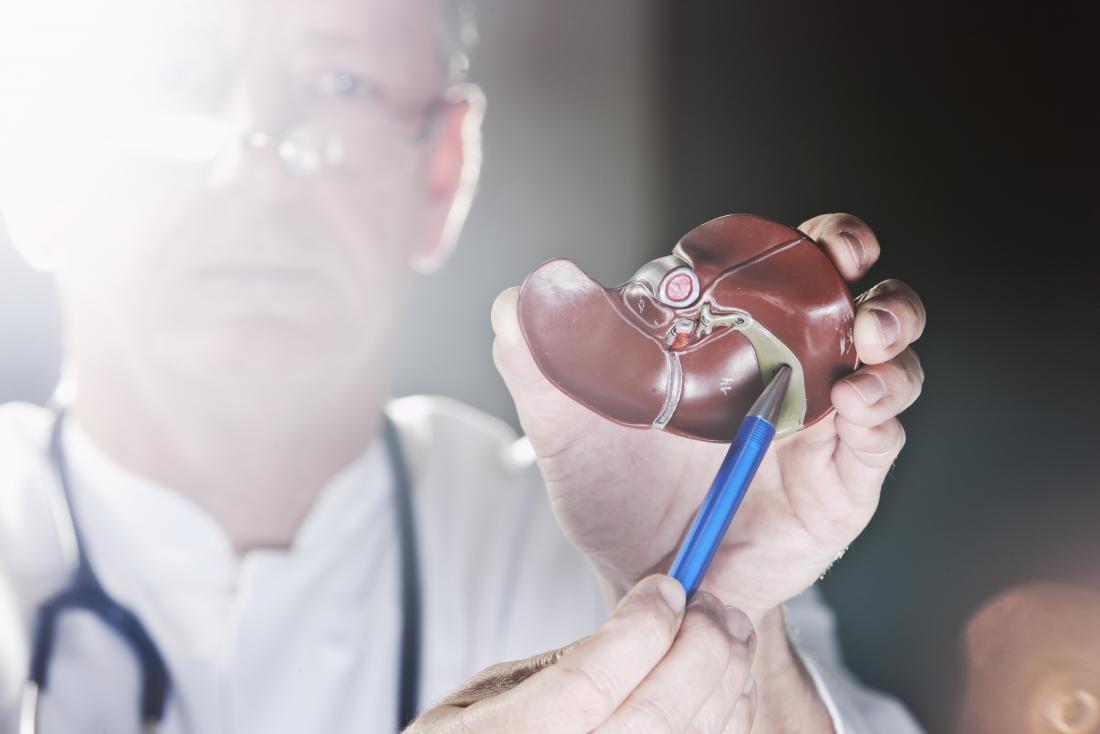 Doctor pointing to anatomical model of gallbladder.