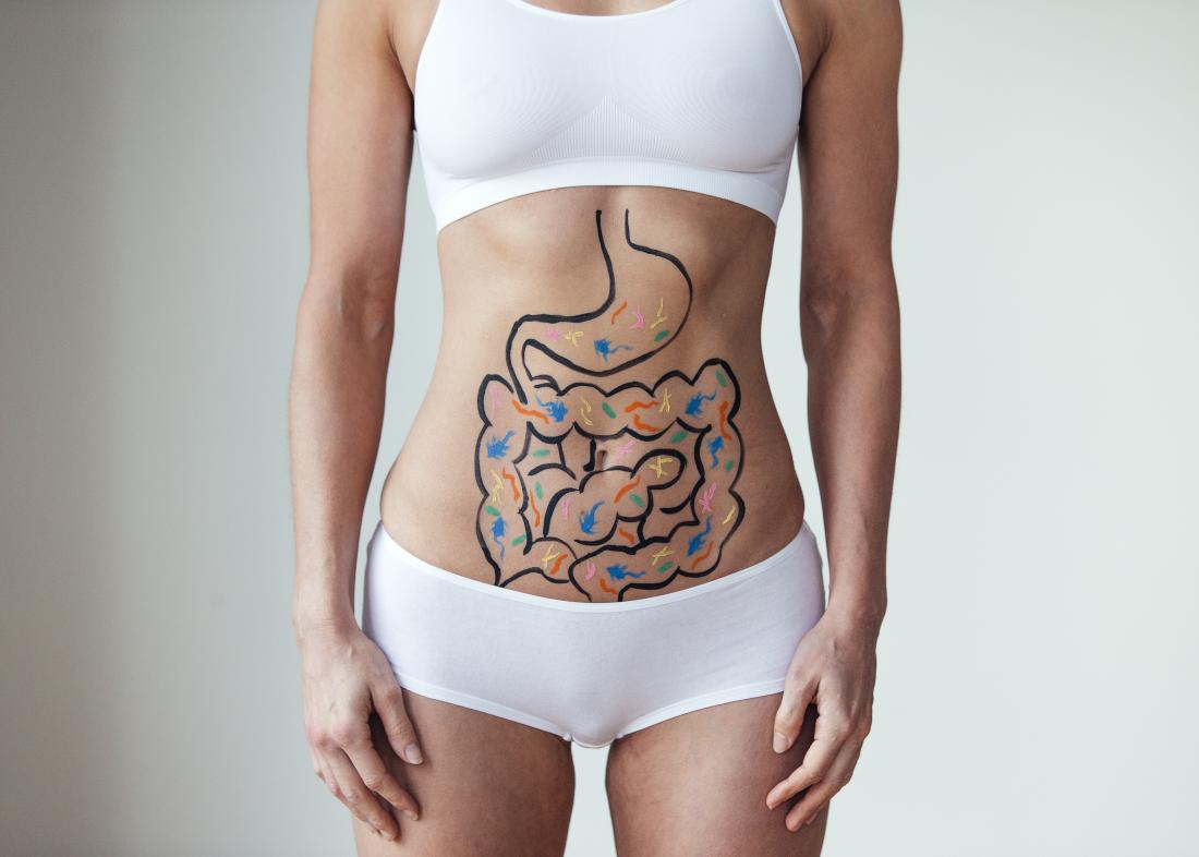 illustration of gut bacteria on woman