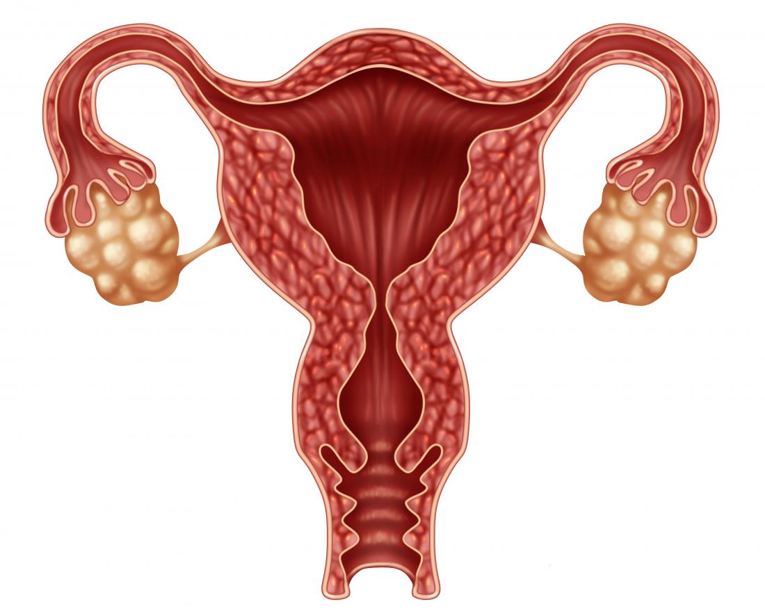 oophorectomy-procedure-recovery-time-and-side-effects