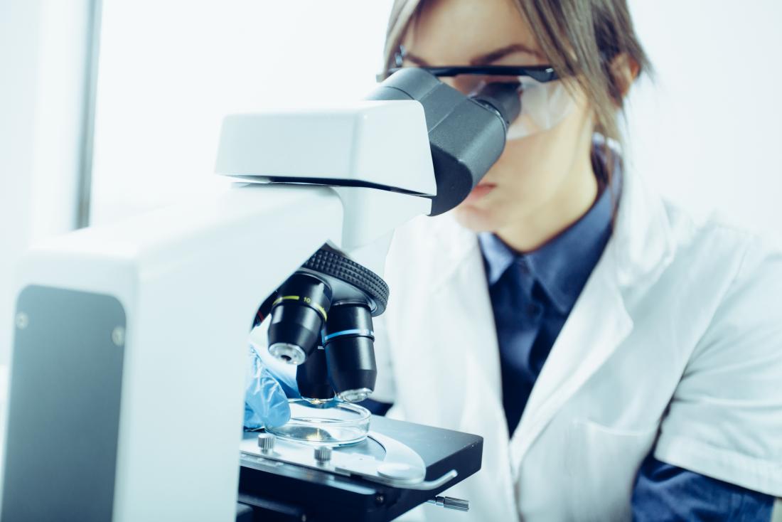 Lab technician looking at sample in petri dish through microscope.