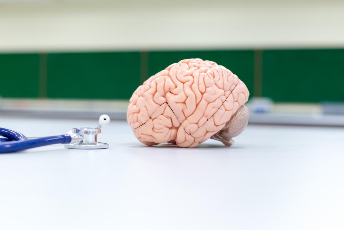 Model of brain with stethoscope to demonstrate simple partial seizures.
