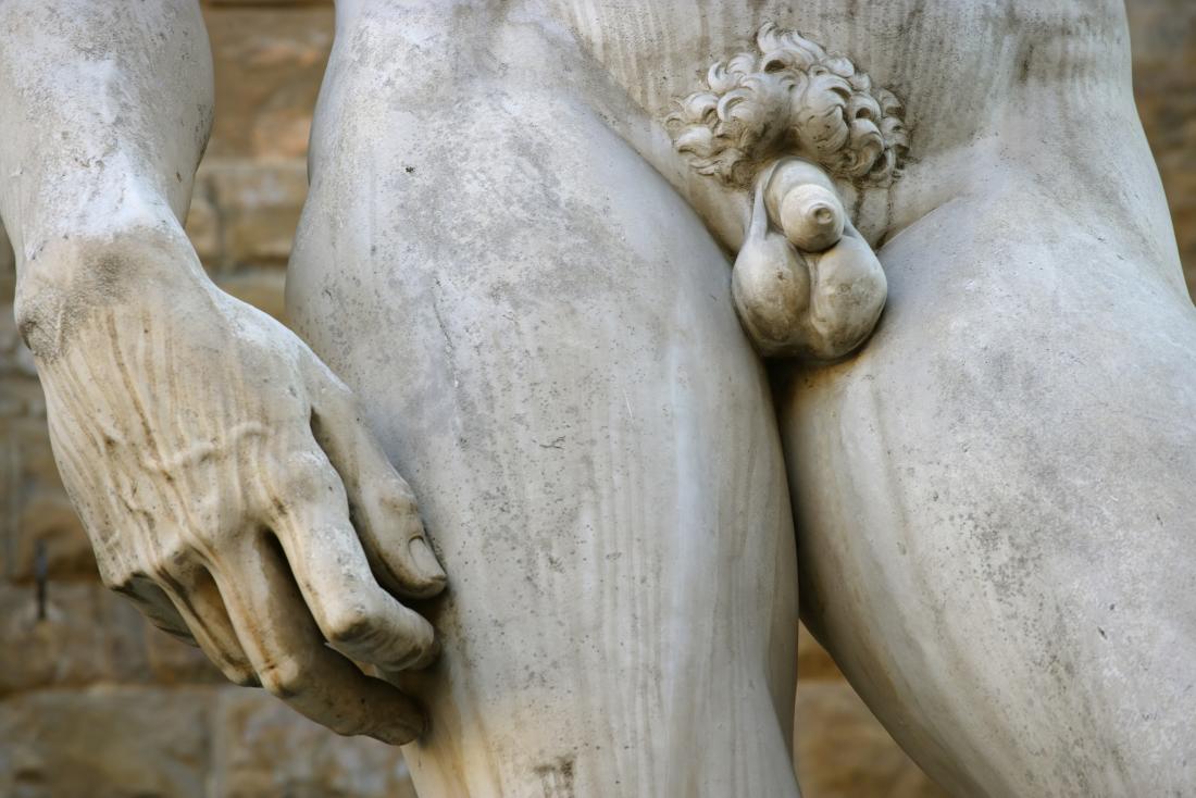 Statue of David with close up on the penis