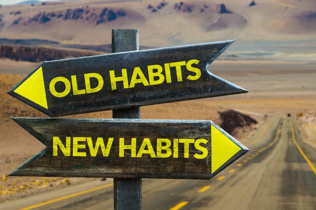 The Brain and Our Habits: Natural Pathways to Wellness