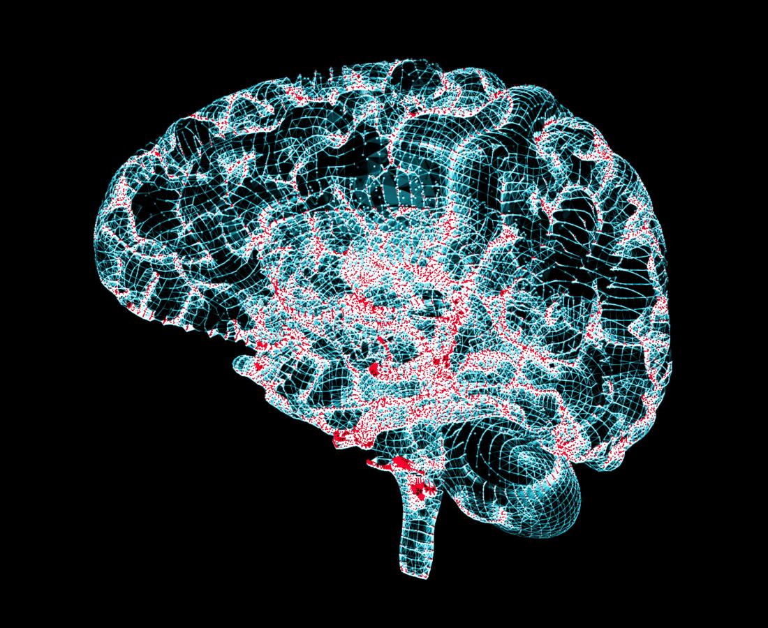 brain illustration<!--mce:protected %0A-->