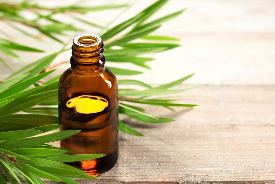 tea tree essential oil for treating scabies in glass jar with leaves in background