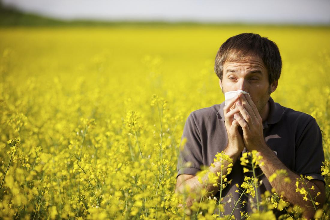 man in field of yellow flowers coughing and blowing his nose