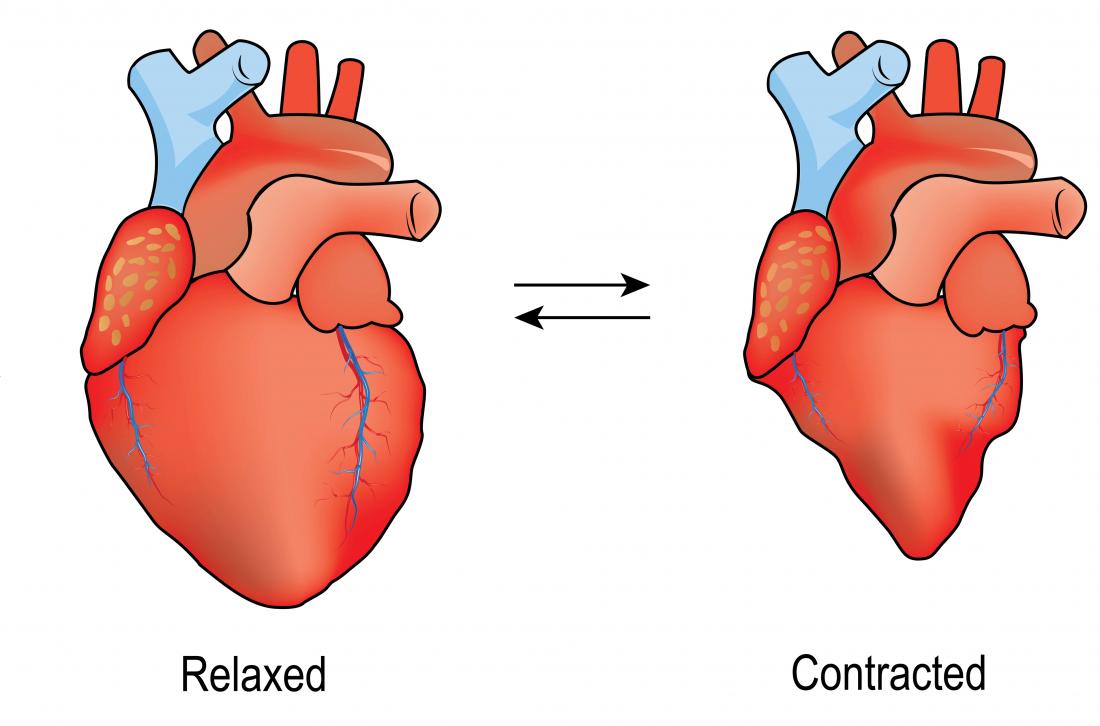 Heart Diagram With Valves In Systolic Vs Diastolic Heart Lay