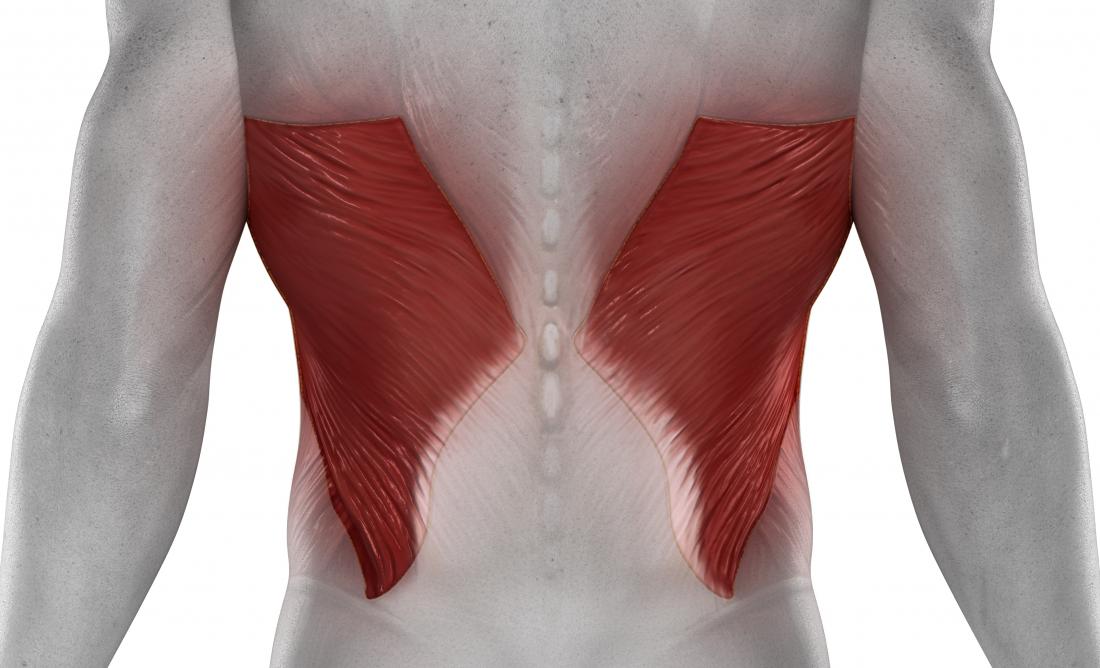 https://cdn-prod.medicalnewstoday.com/content/images/articles/321/321623/latissimus-dorsi-pain-in-the-back.jpg