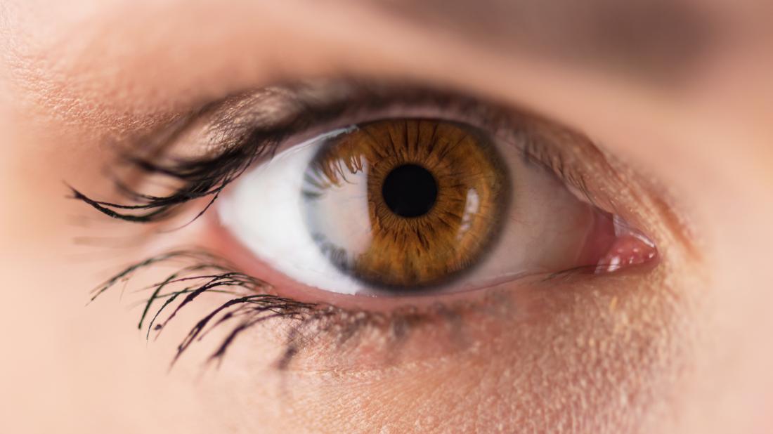 Read Insights about 7 Interesting Facts About Blue Eyes from