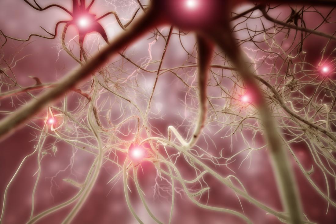 Nerve cells from nervous system in body.