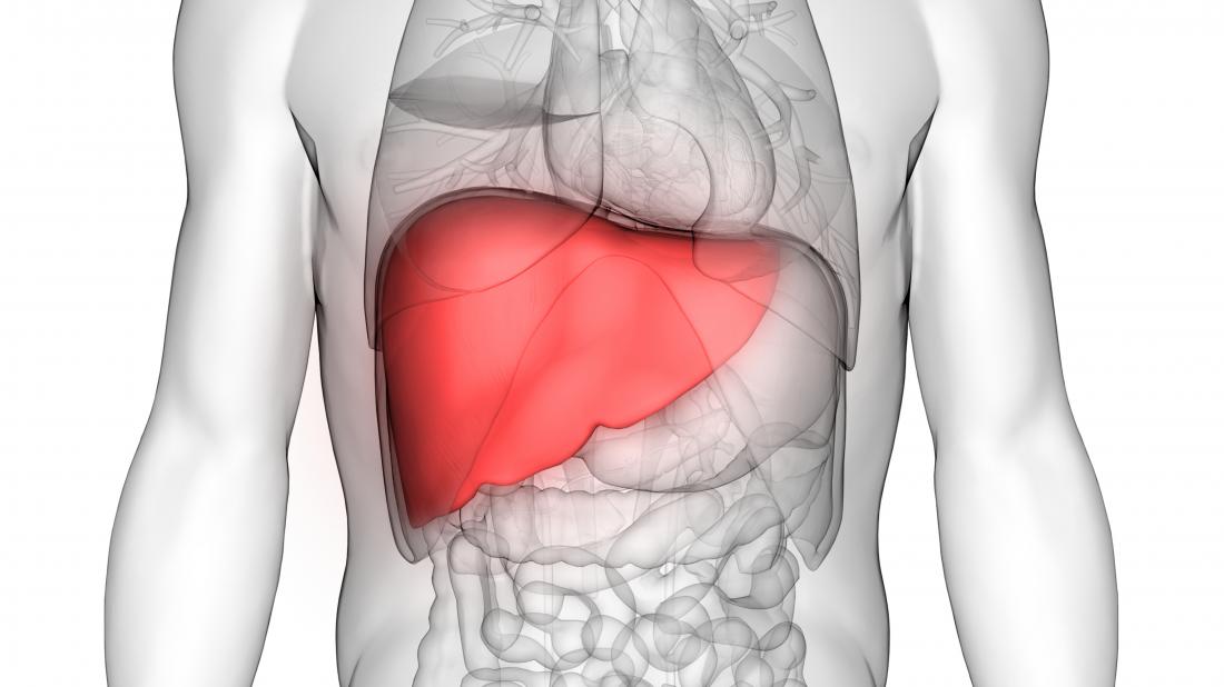 Liver Transplant Survival Rate Statistics And Recovery - 