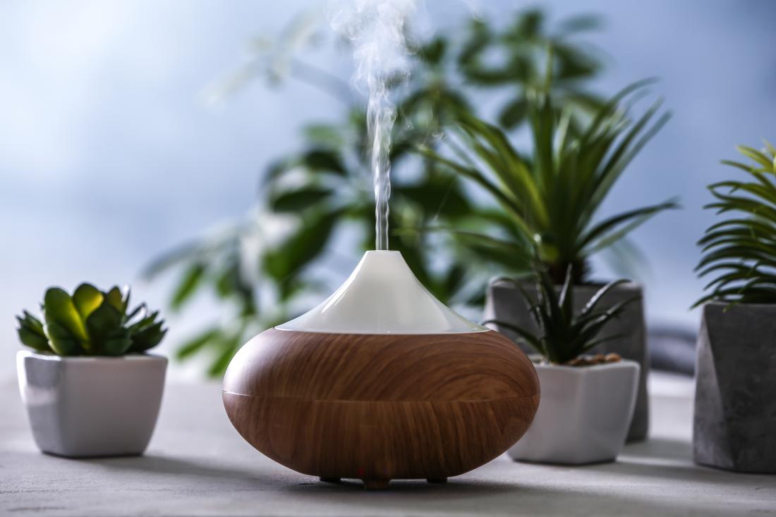 Humidifier and plants.
