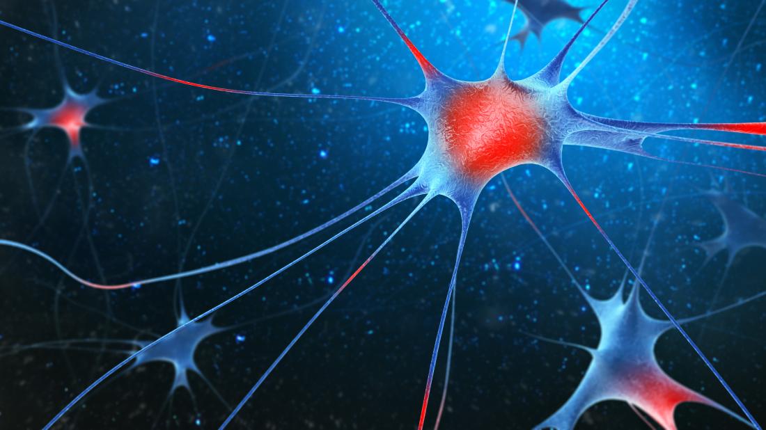 Nerve cells in muscles causing clonus
