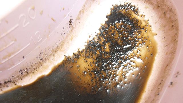 Should You Put Coffee Grounds Down the Sink?