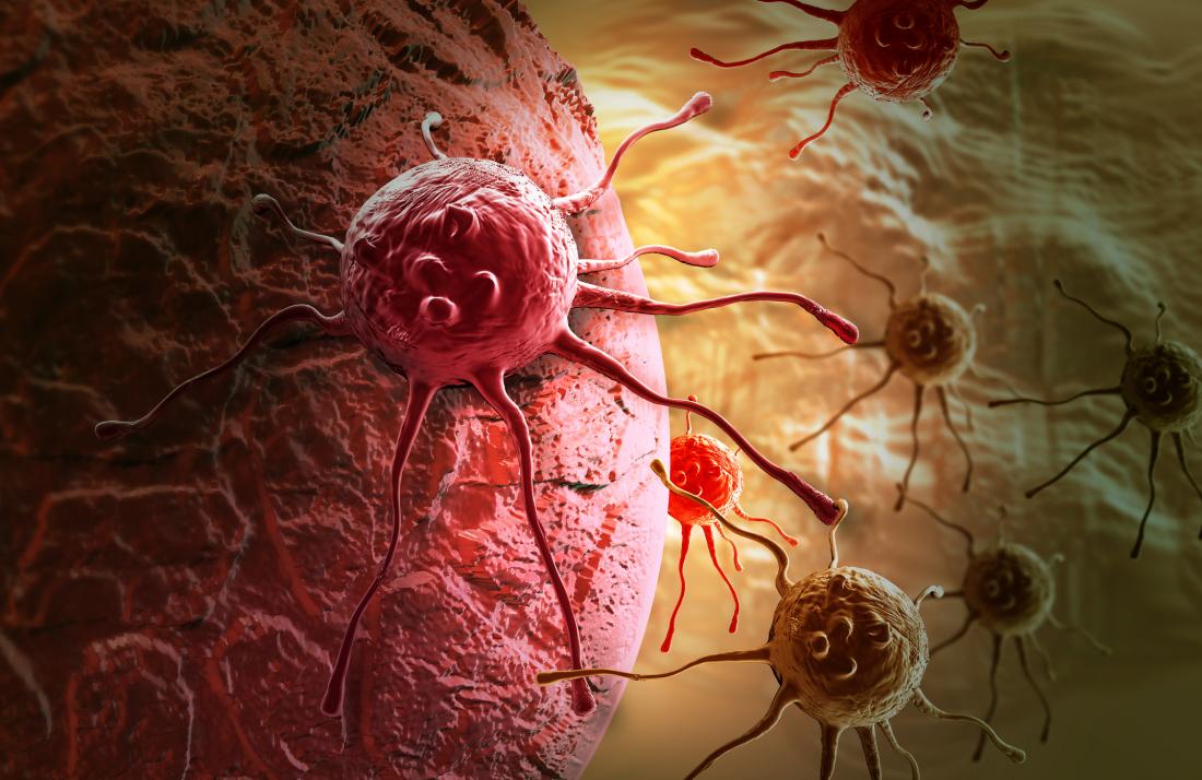 cancer cells