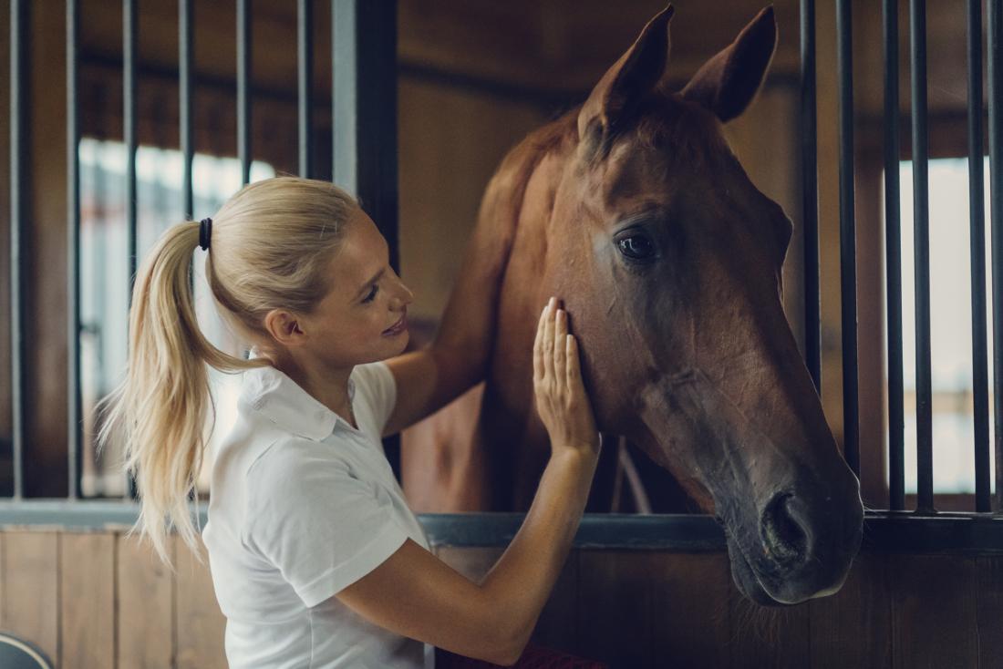 How horses perceive and respond to human emotion