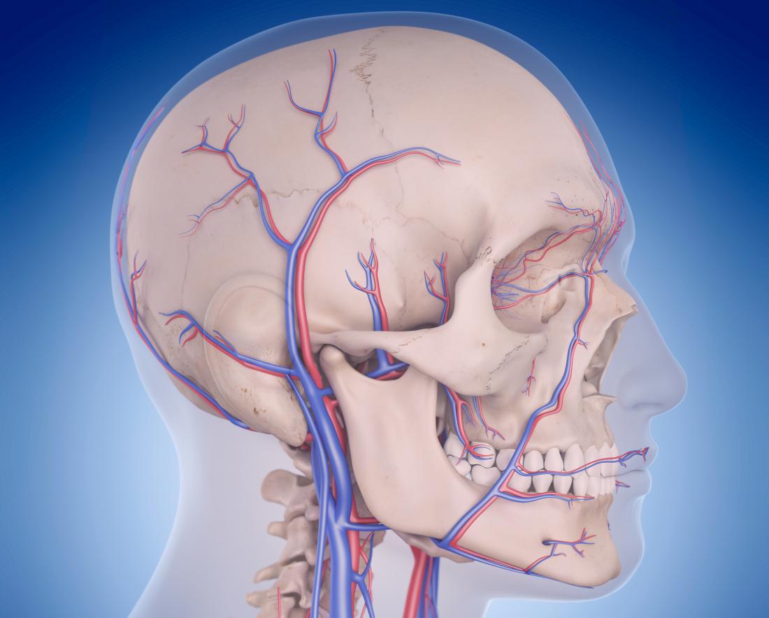 Vertebrobasilar Circulatory Disorders: Symptoms And Causes