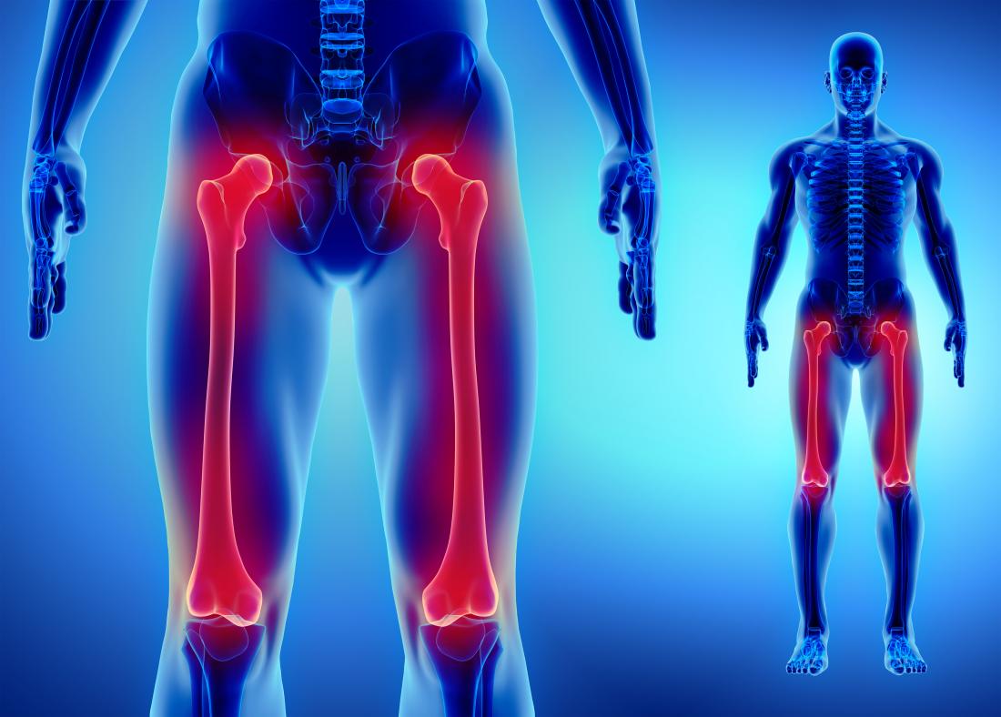 3d image of femur