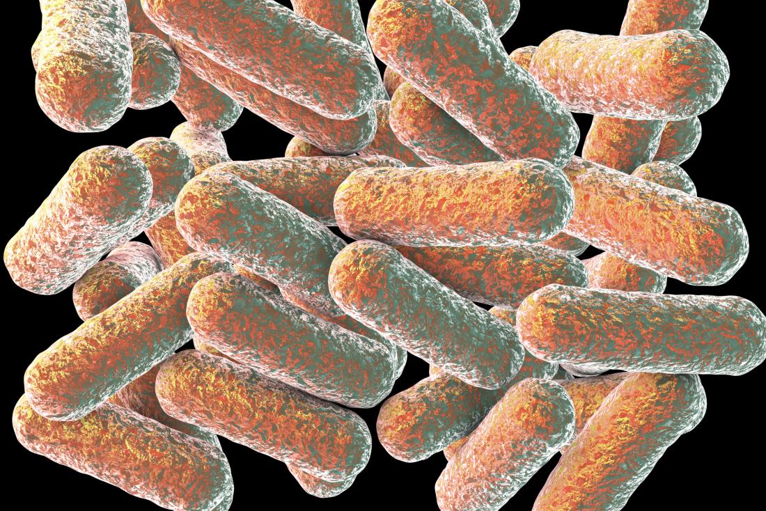 How fiber and gut bacteria reverse stress damage
