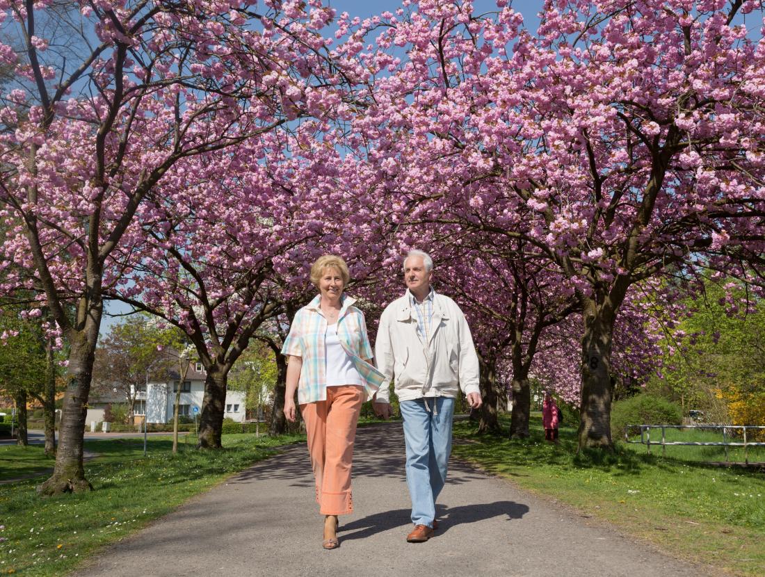 ra痛の練習である公園を歩く高齢者