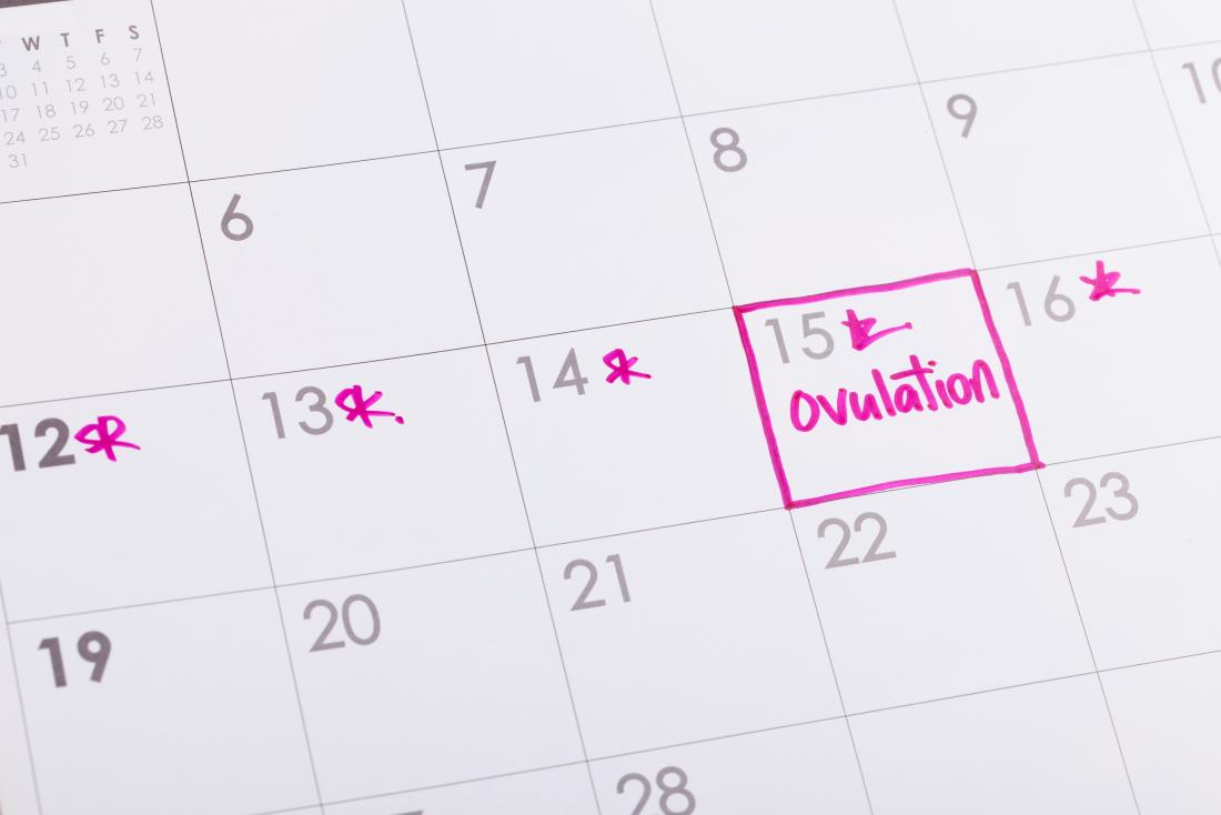 Calendar marked with ovulation.