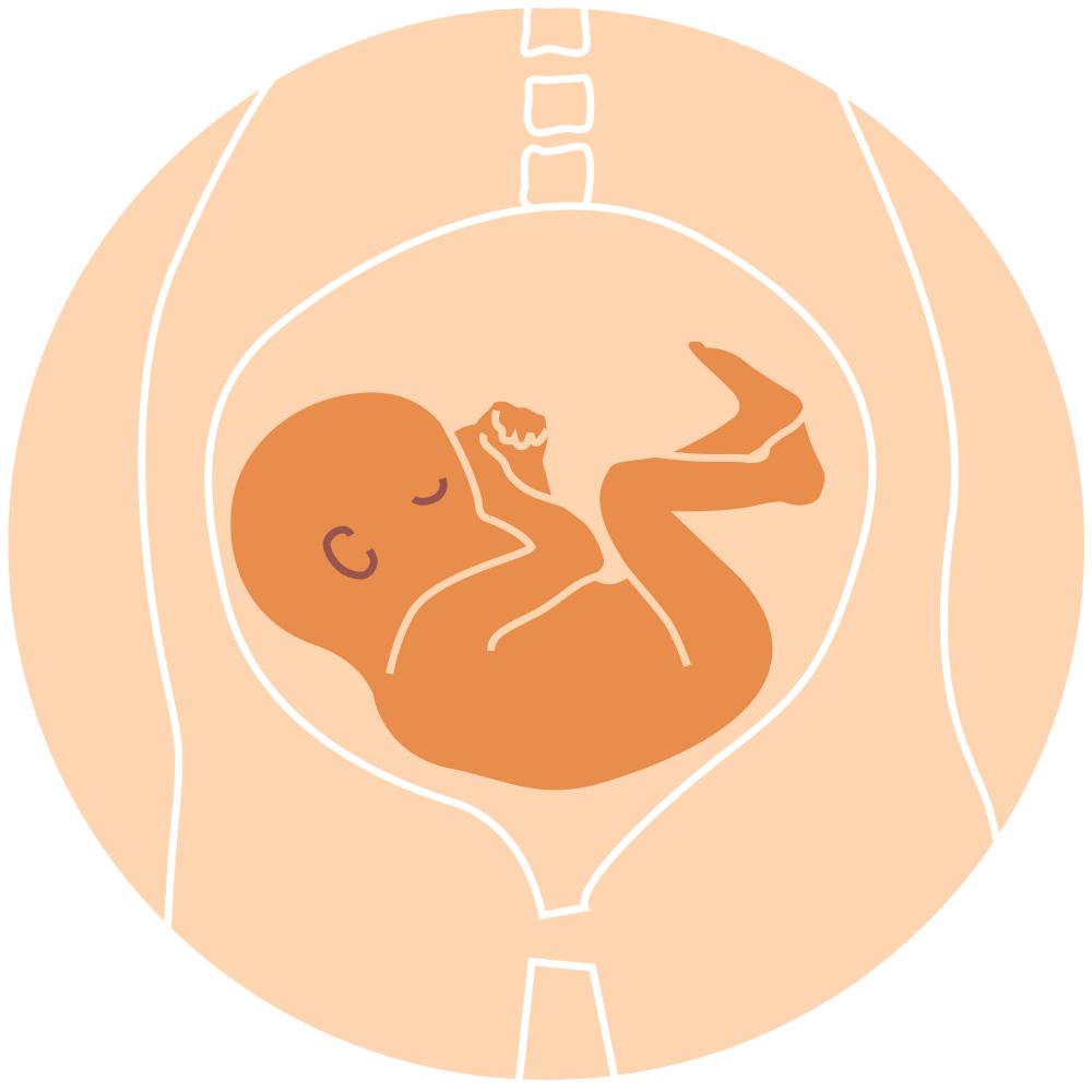 Baby position in womb What they are and how to tell