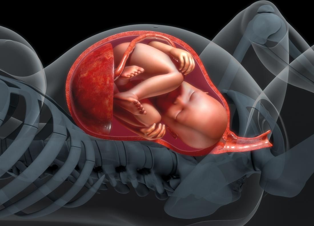 Baby small 2024 in womb