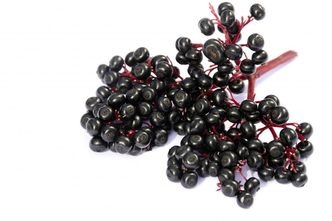 elderberry