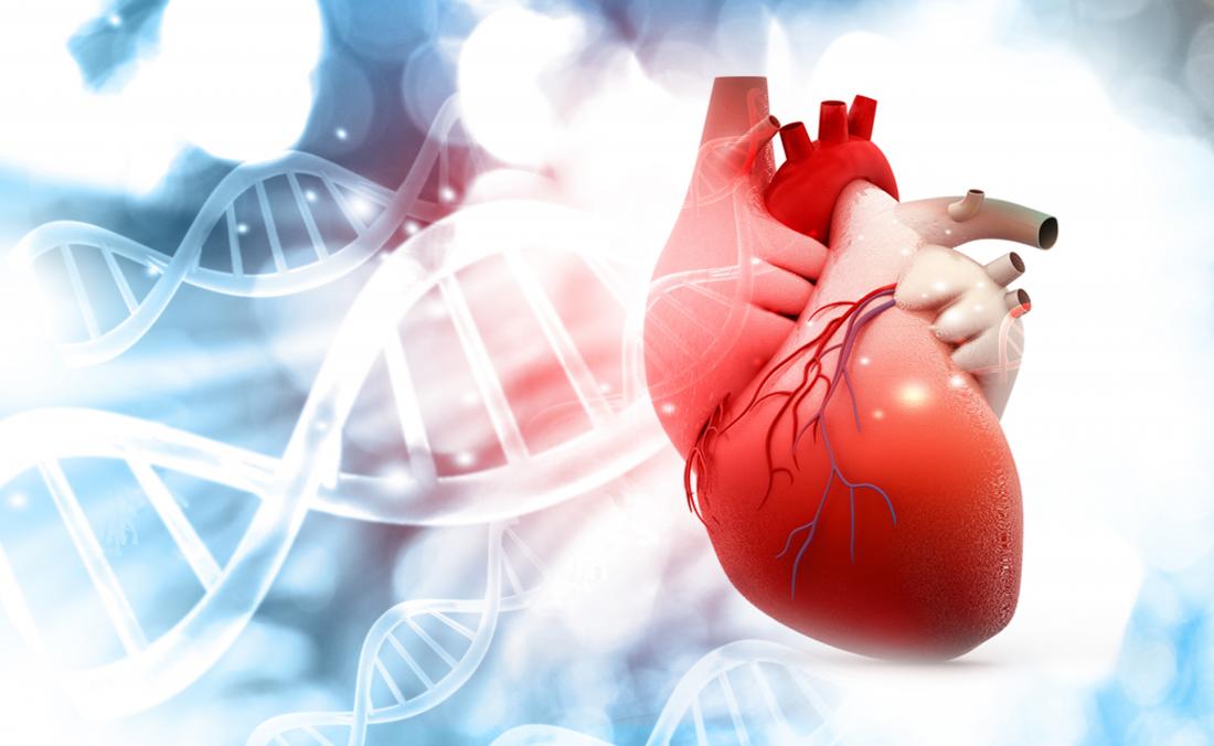 Understanding the Risk Factors of Heart Failure