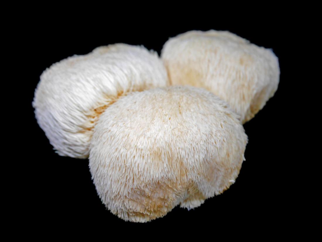 Lions mane mushrooms: Benefits and side effects