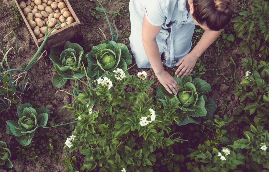 Lady organic gardening