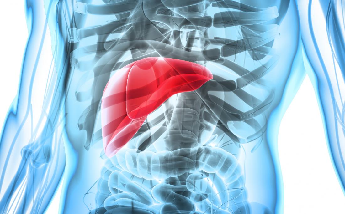 https://cdn-prod.medicalnewstoday.com/content/images/articles/323/323455/liver-in-3d-render-of-human-body.jpg