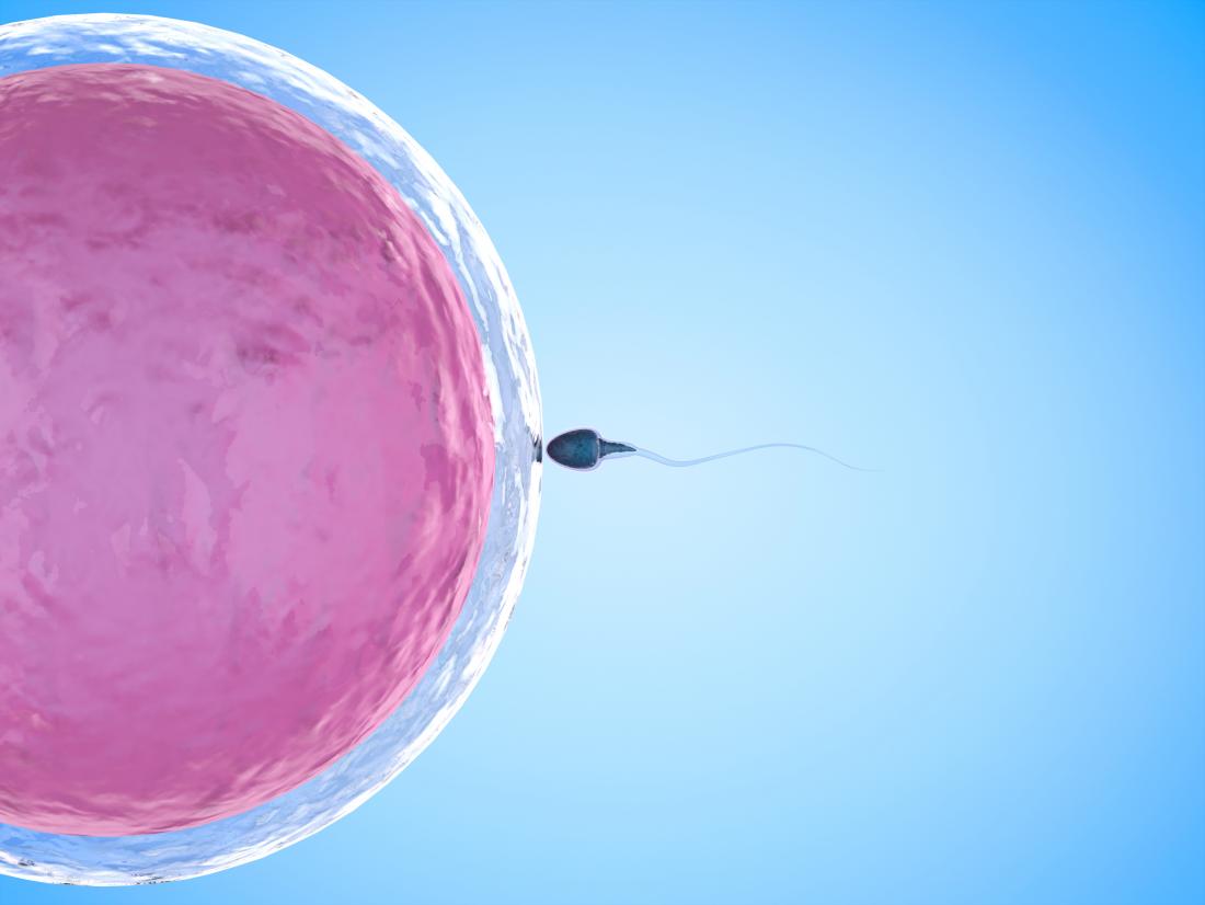 Ovulation Discharge: Fertile vs. Infertile