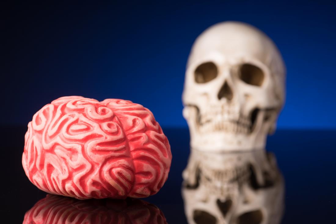https://cdn-prod.medicalnewstoday.com/content/images/articles/323/323539/concept-photo-featuring-human-brain-and-skull-models.jpg