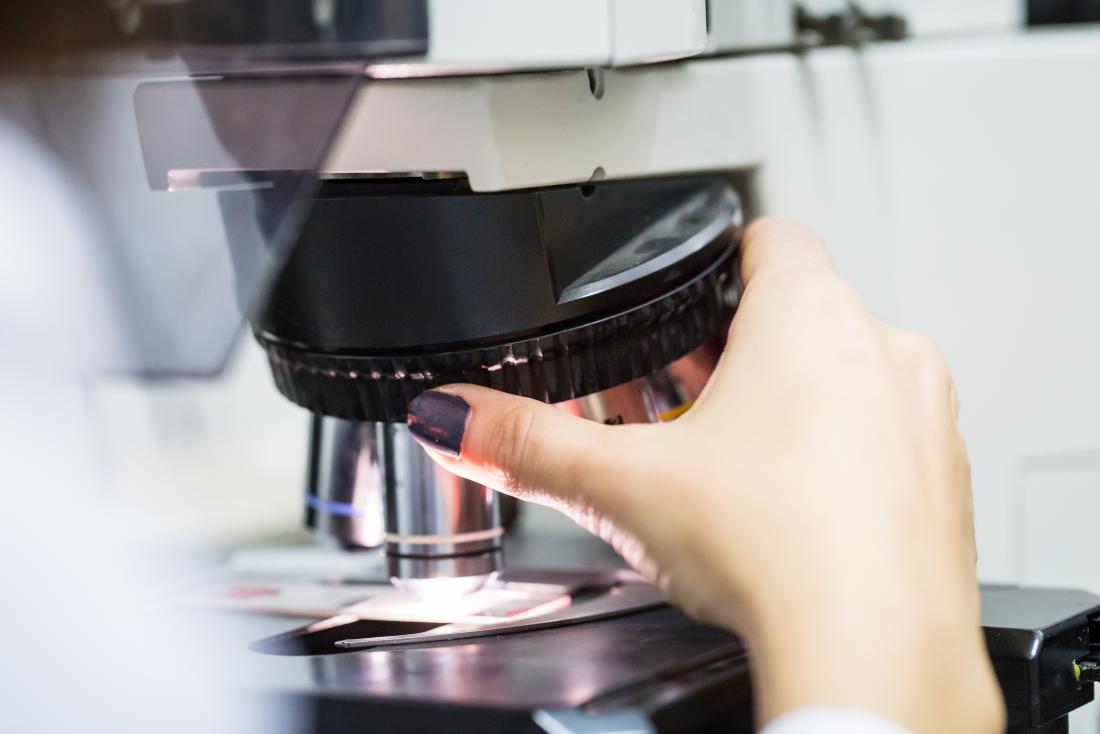 Person using microscope to analyse sample