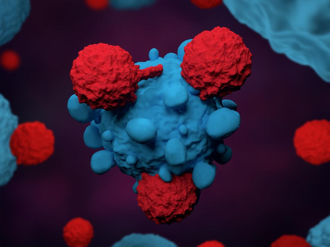 Cancer immune attack