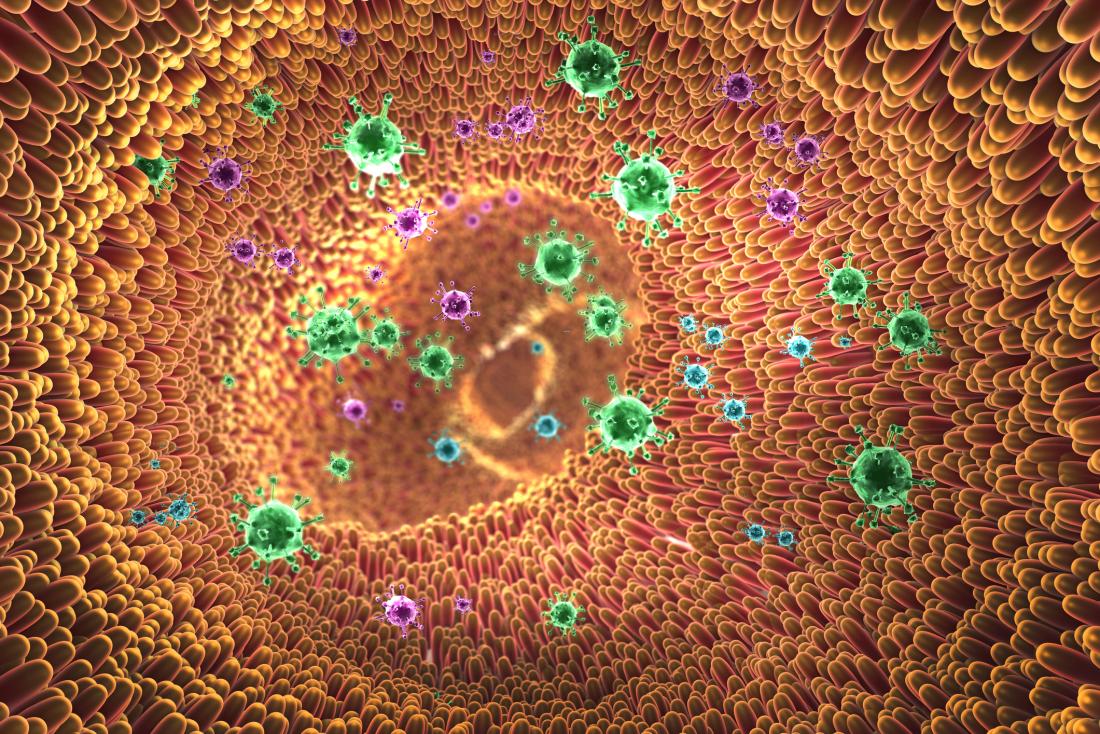 illustration of the inside of an intestine