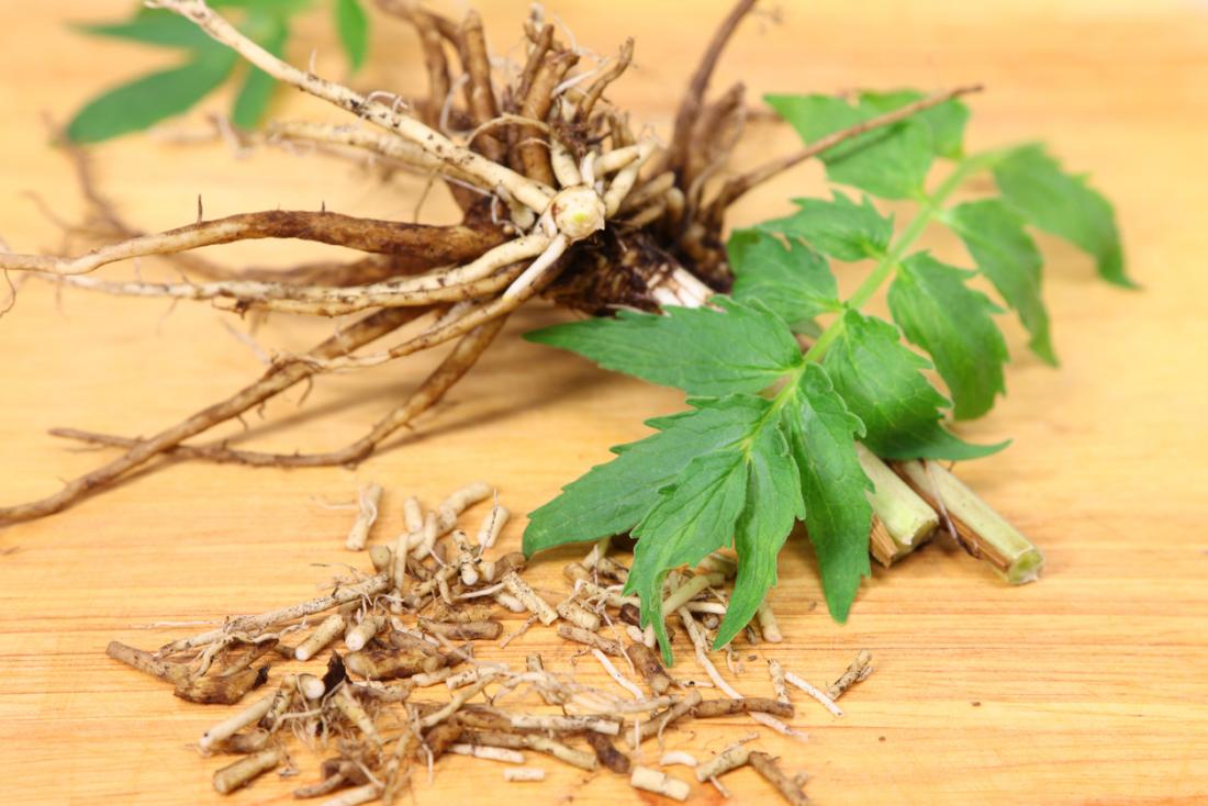 Valerian root