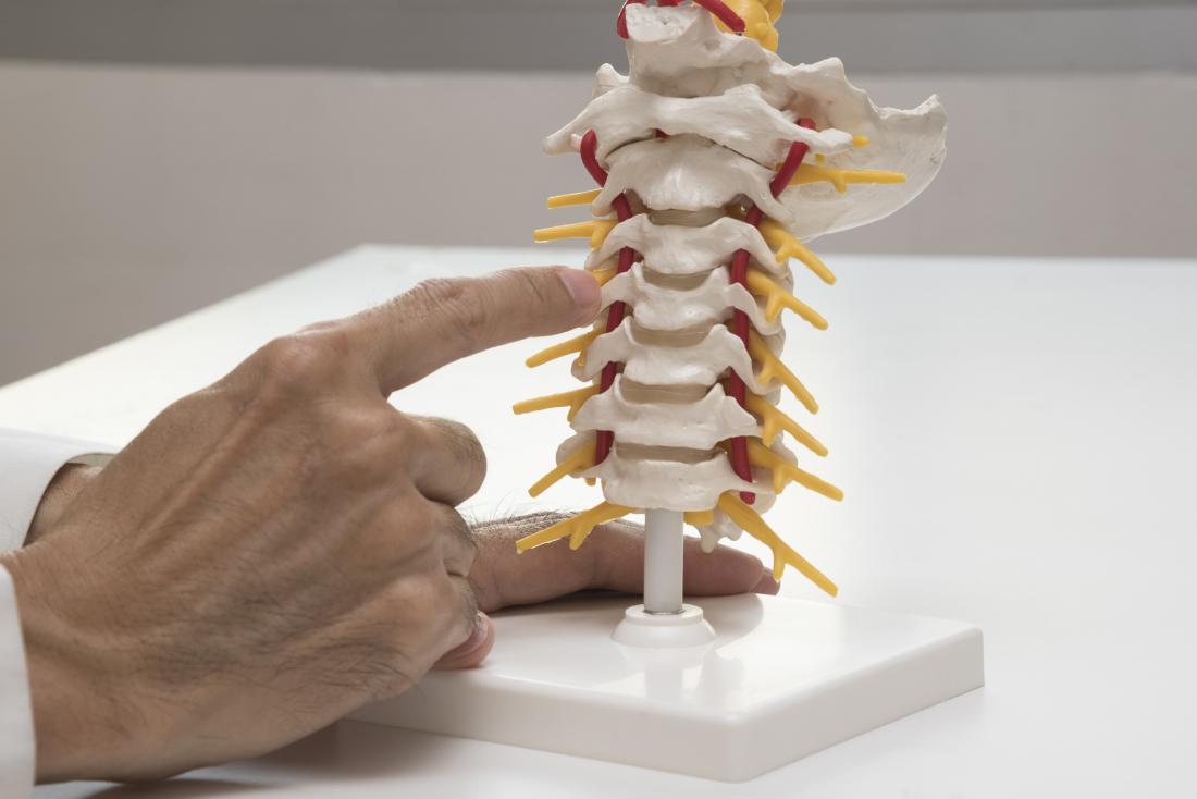 pointing to spinal discs