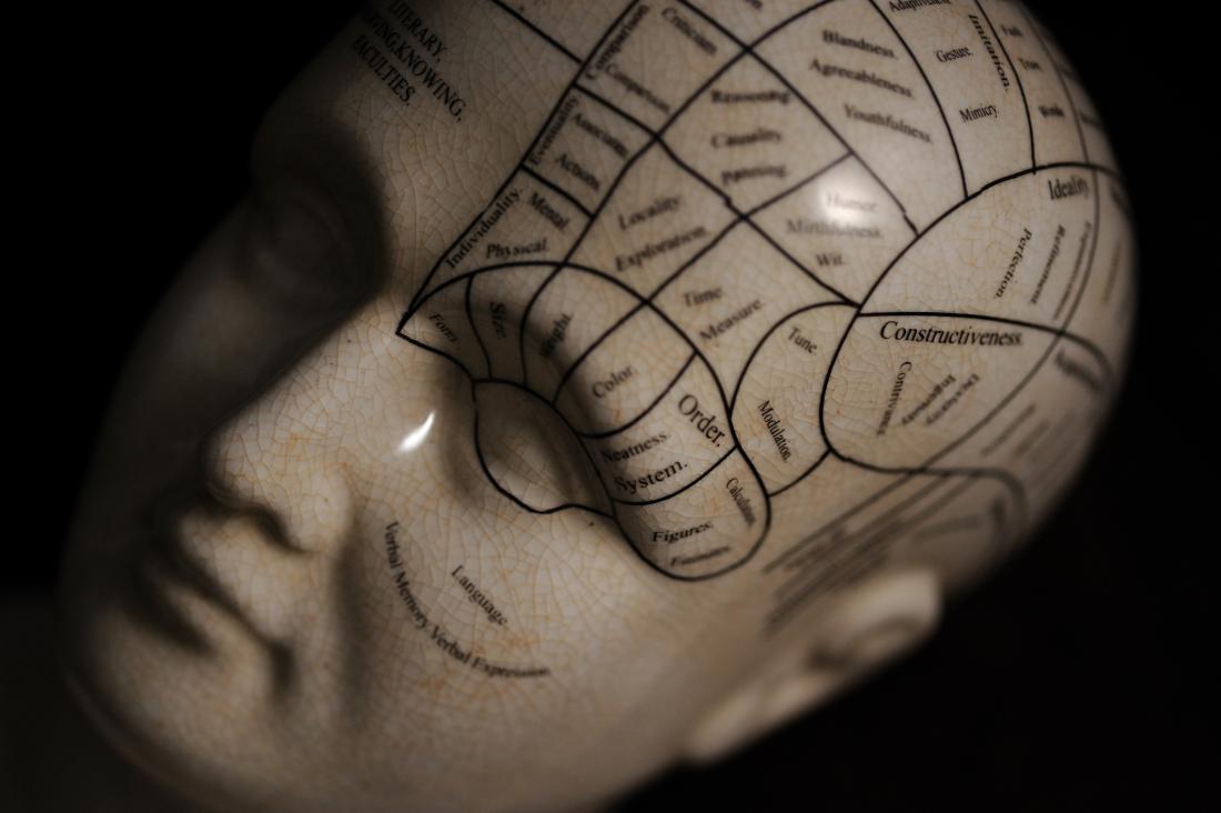 phrenology head