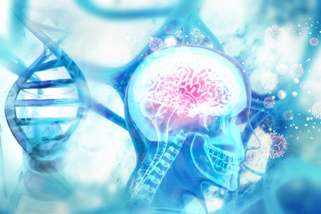 DNA and brain