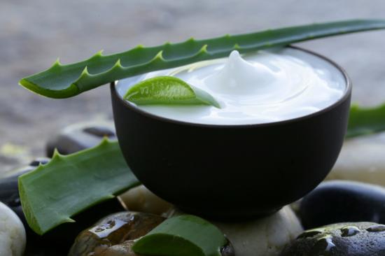 Aloe vera plant and cream in bowl.